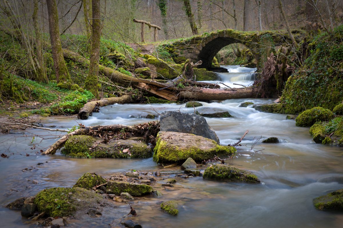 Alte steinerne Brücke über dem Bach im Wald