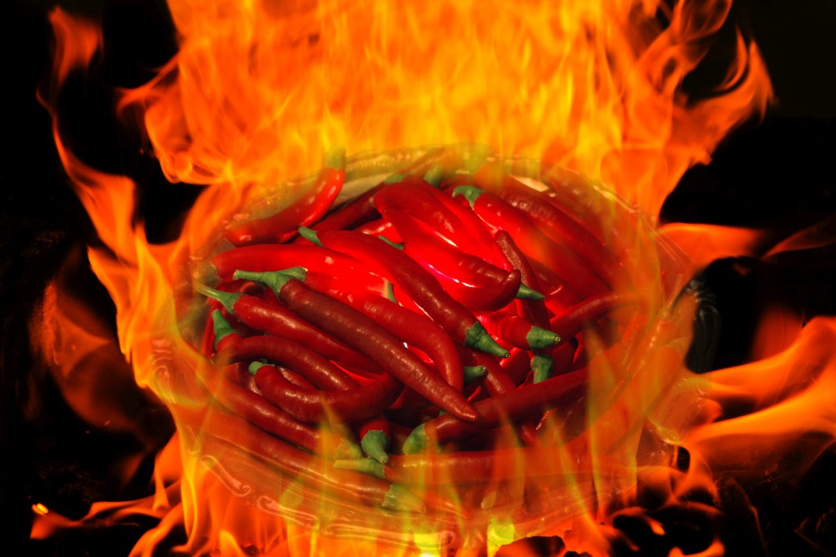 Peperoni im Feuer (Bildmontage)