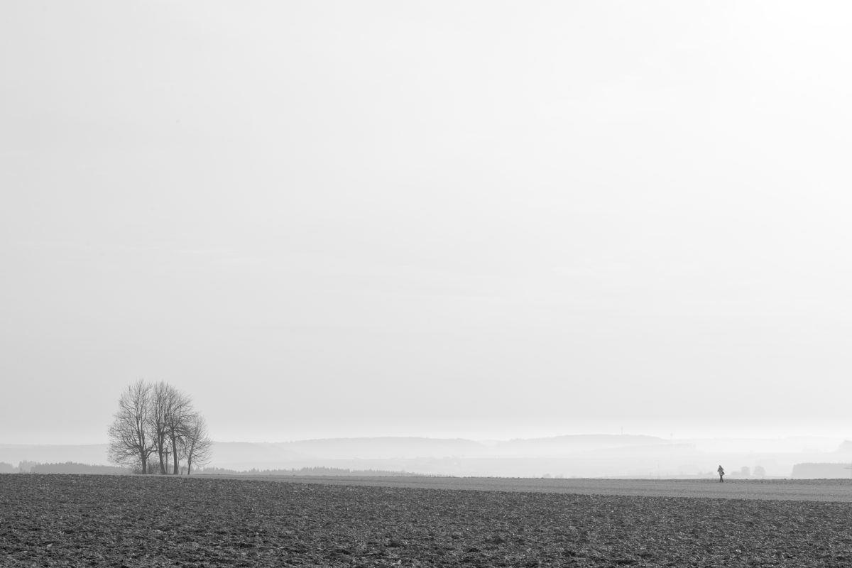 Winterlandschaft mit Baum und einer Person